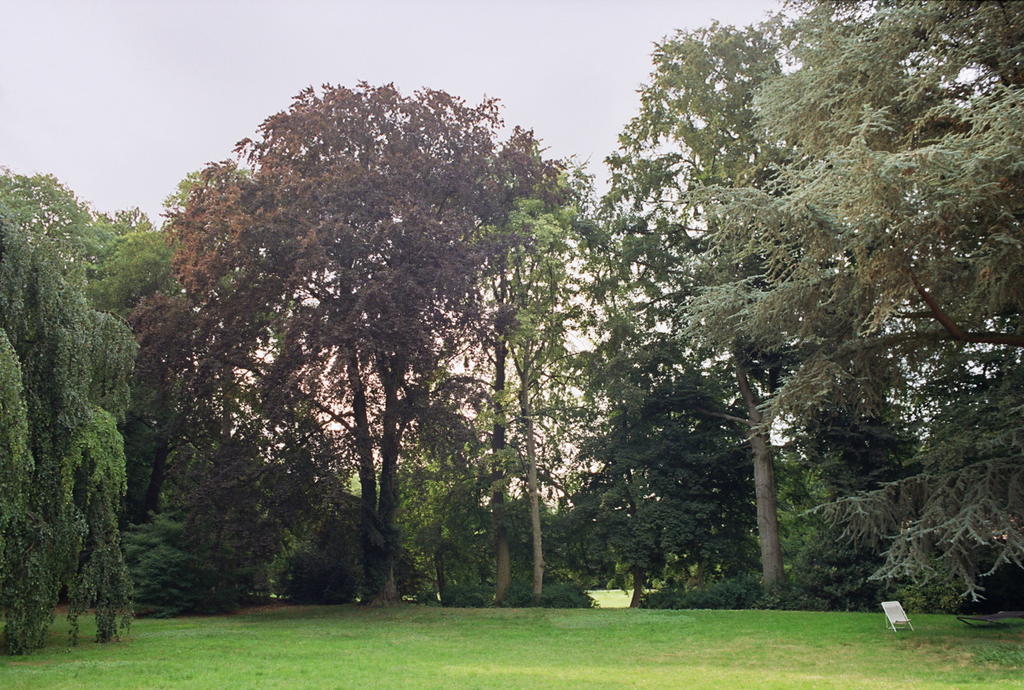 Manoir Les Cedres Corbehem Exterior foto